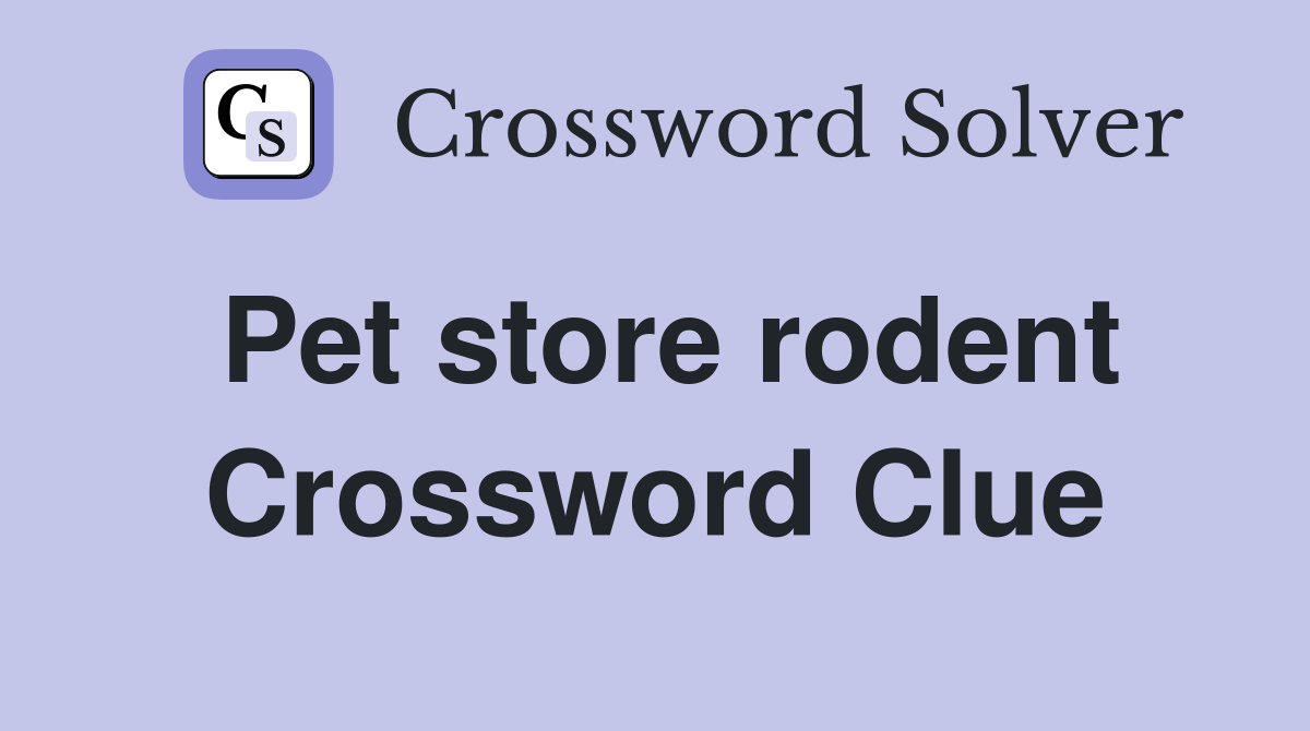 Pet store rodent Crossword Clue