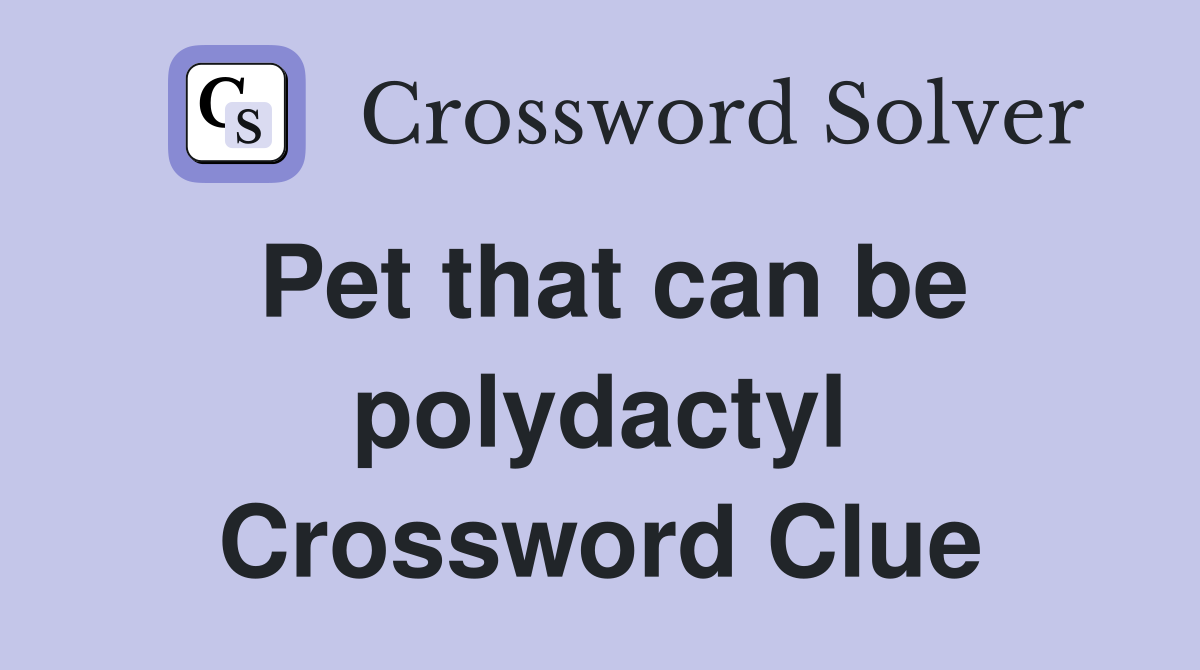 Pet that can be polydactyl Crossword Clue