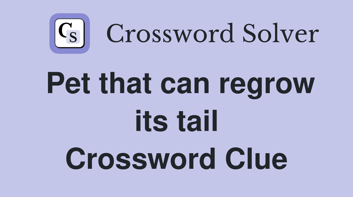 Pet that can regrow its tail Crossword Clue