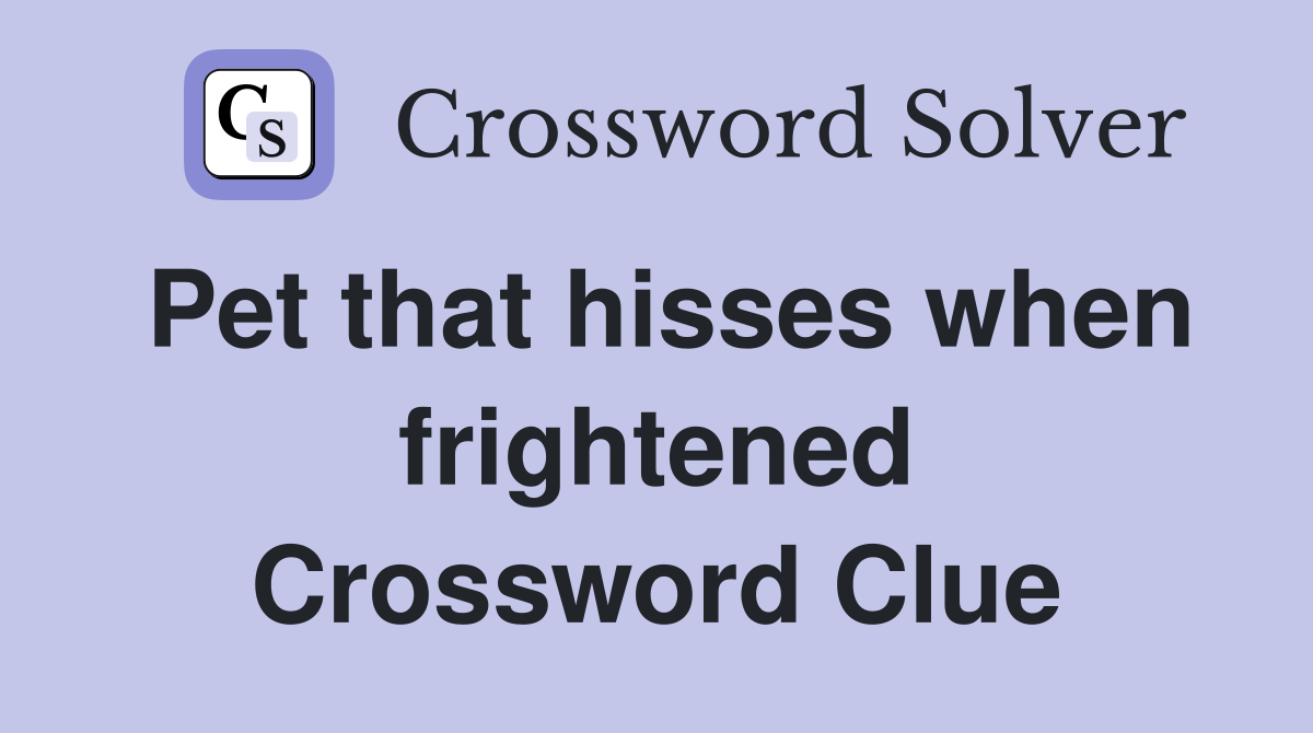 Pet that hisses when frightened Crossword Clue