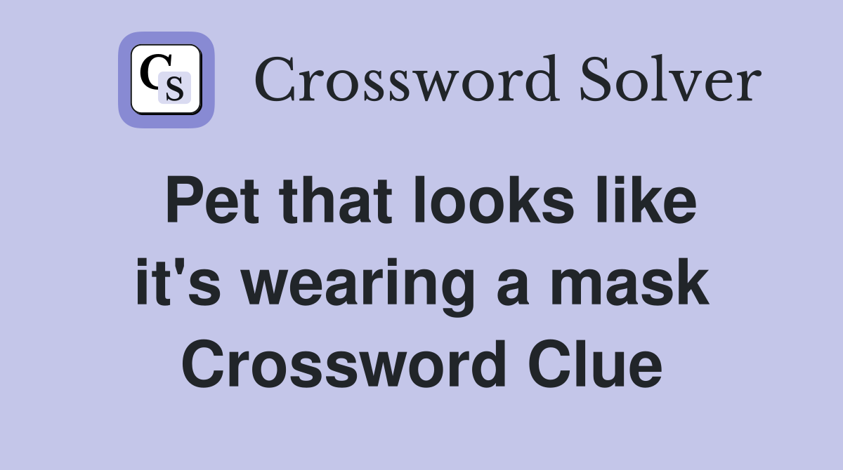 Pet that looks like it's wearing a mask Crossword Clue