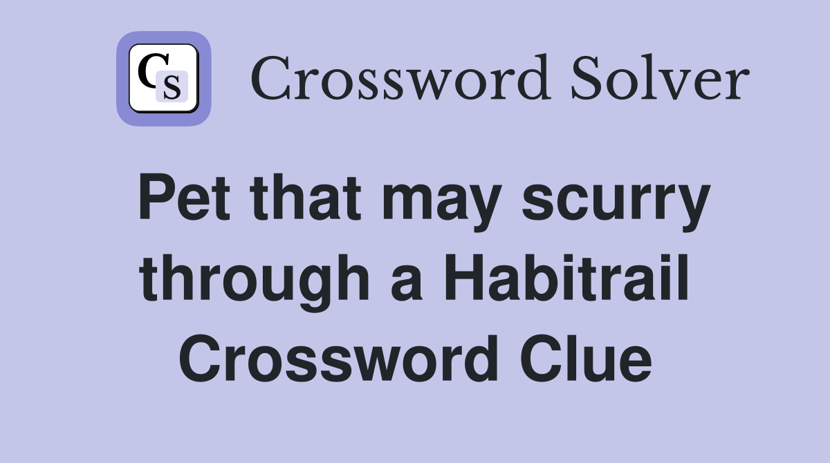 Pet that may scurry through a Habitrail Crossword Clue