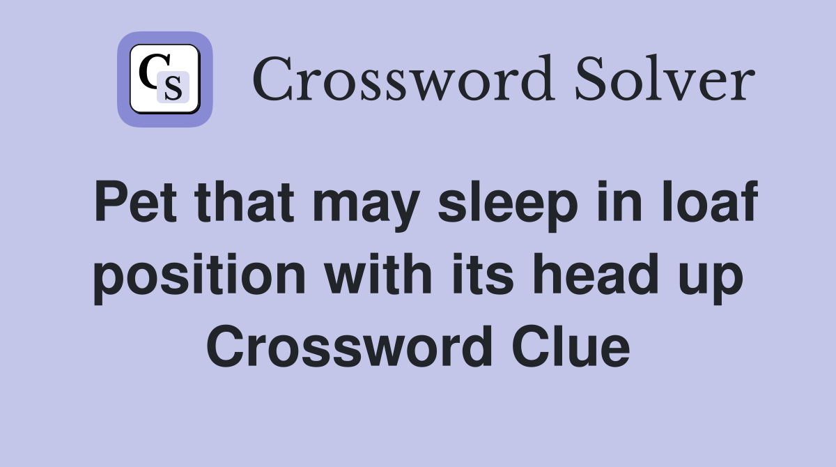 Pet that may sleep in loaf position with its head up Crossword Clue
