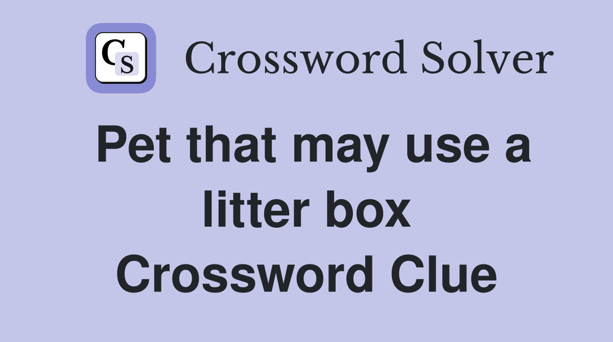 Pet that may use a litter box Crossword Clue
