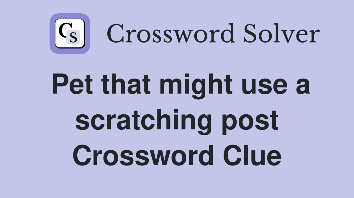 Pet that might use a scratching post Crossword Clue
