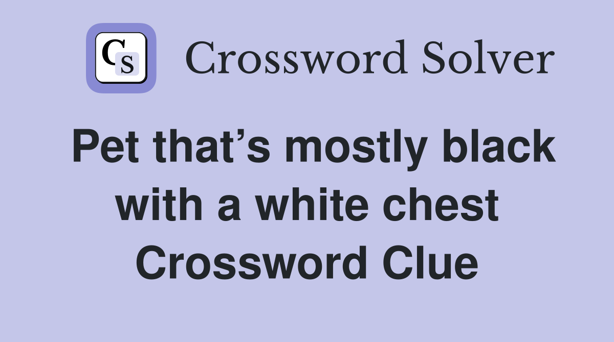 Pet that’s mostly black with a white chest Crossword Clue