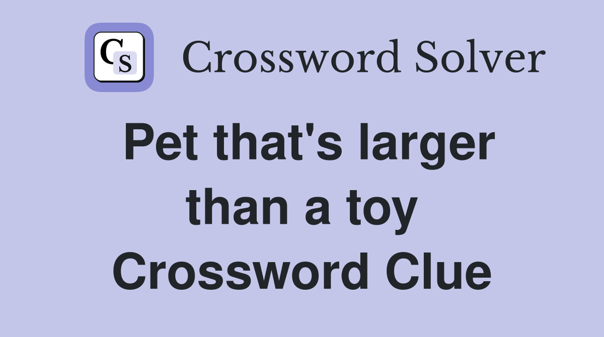 Pet that's larger than a toy Crossword Clue
