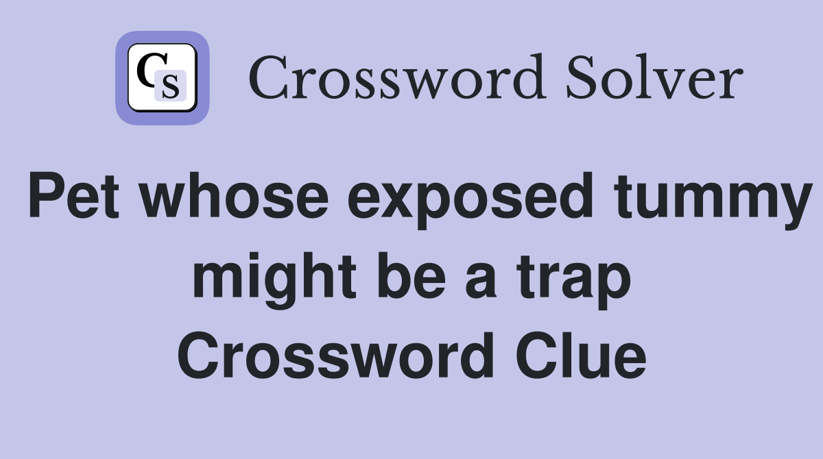 Pet whose exposed tummy might be a trap Crossword Clue
