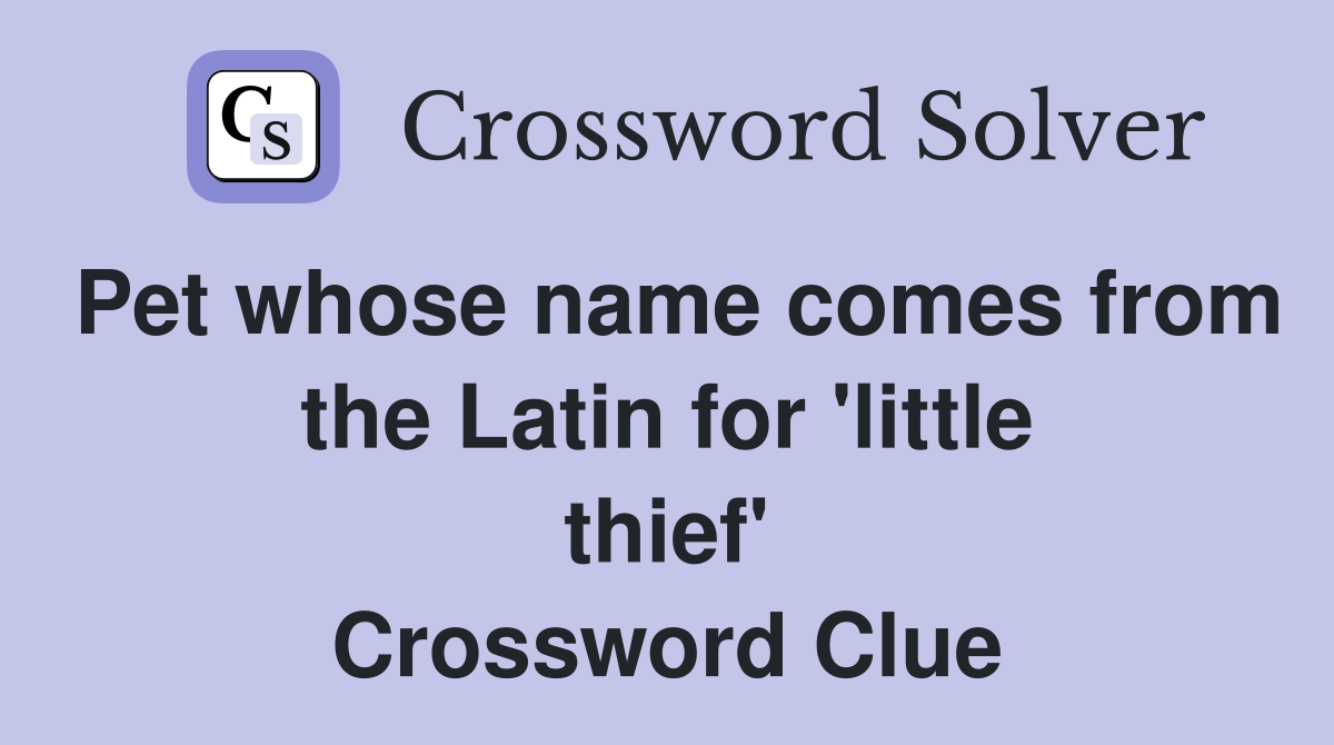 Pet whose name comes from the Latin for 'little thief' Crossword Clue