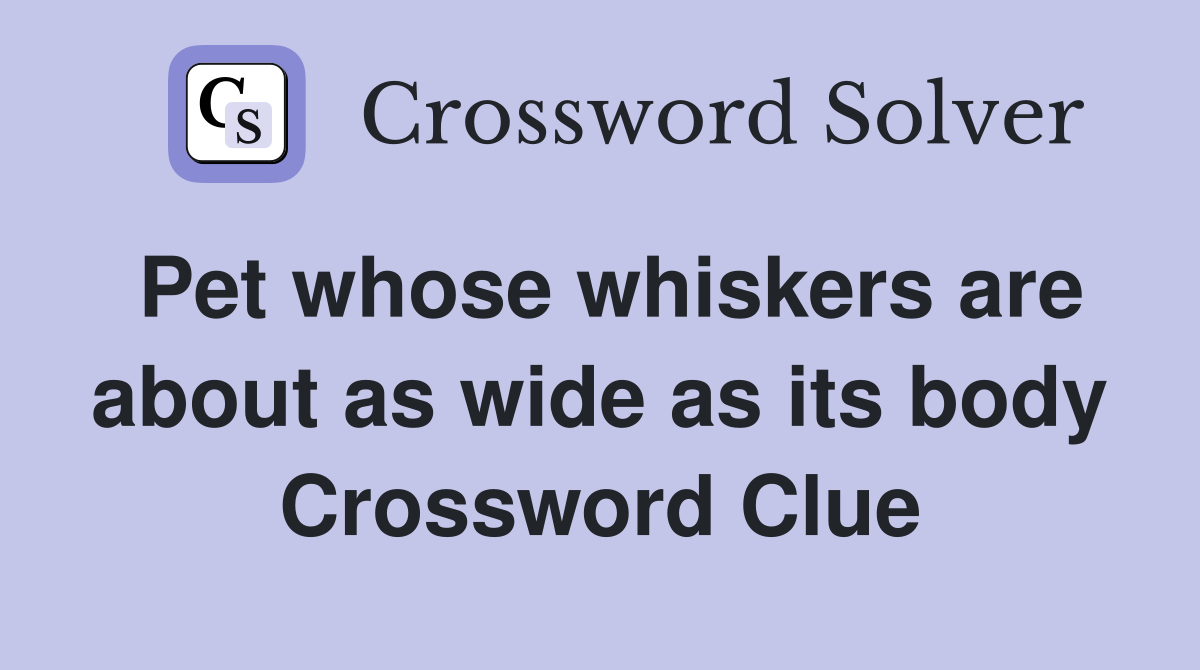 Pet whose whiskers are about as wide as its body Crossword Clue