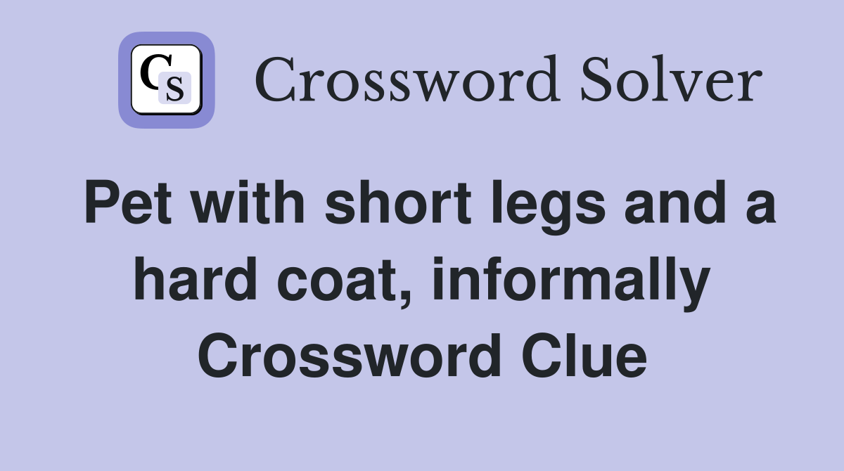Pet with short legs and a hard coat, informally Crossword Clue
