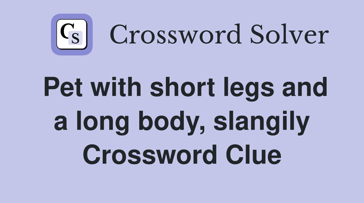 Pet with short legs and a long body, slangily Crossword Clue