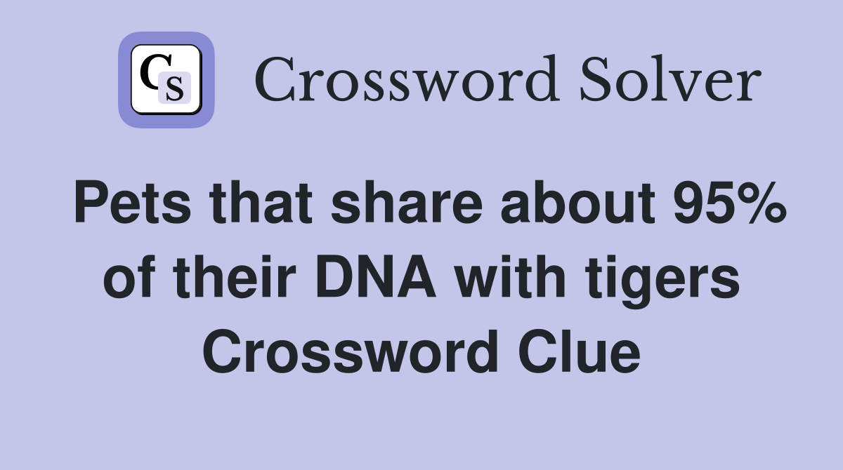 Pets that share about 95% of their DNA with tigers Crossword Clue