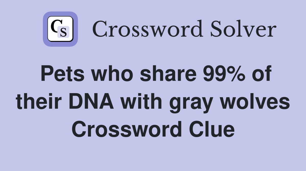 Pets who share 99% of their DNA with gray wolves Crossword Clue