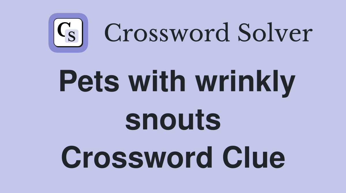 Pets with wrinkly snouts Crossword Clue