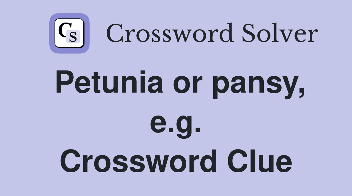 Petunia or pansy, e.g. Crossword Clue