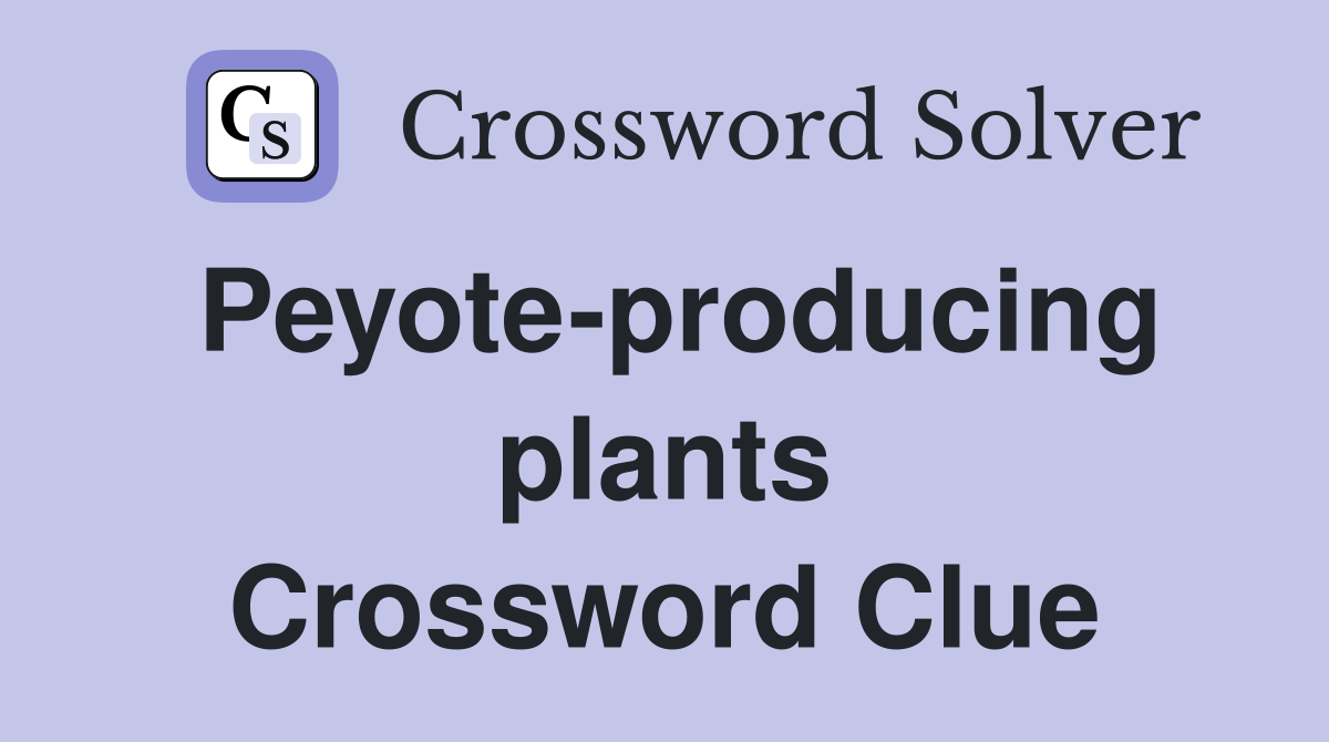 Peyote-producing plants Crossword Clue