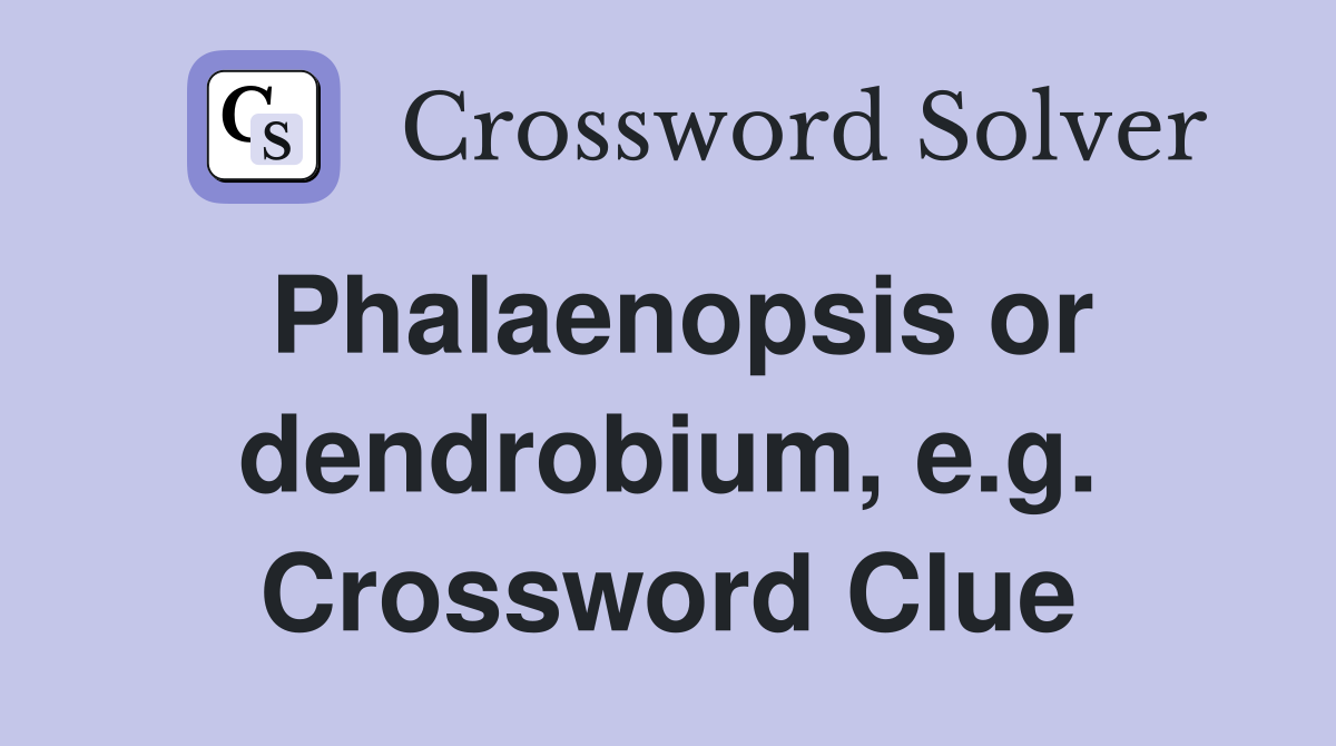 Phalaenopsis or dendrobium, e.g. Crossword Clue