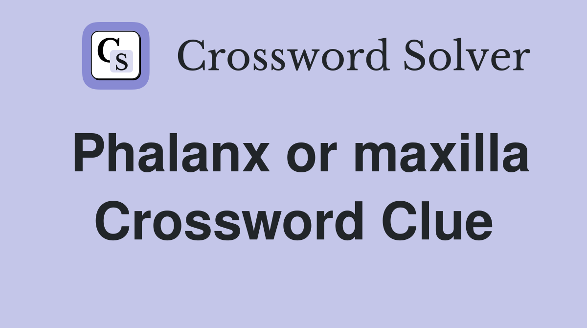 Phalanx or maxilla Crossword Clue