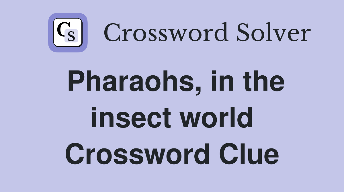 Pharaohs, in the insect world Crossword Clue