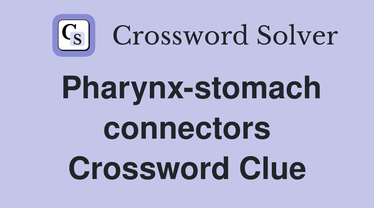 Pharynx-stomach connectors Crossword Clue