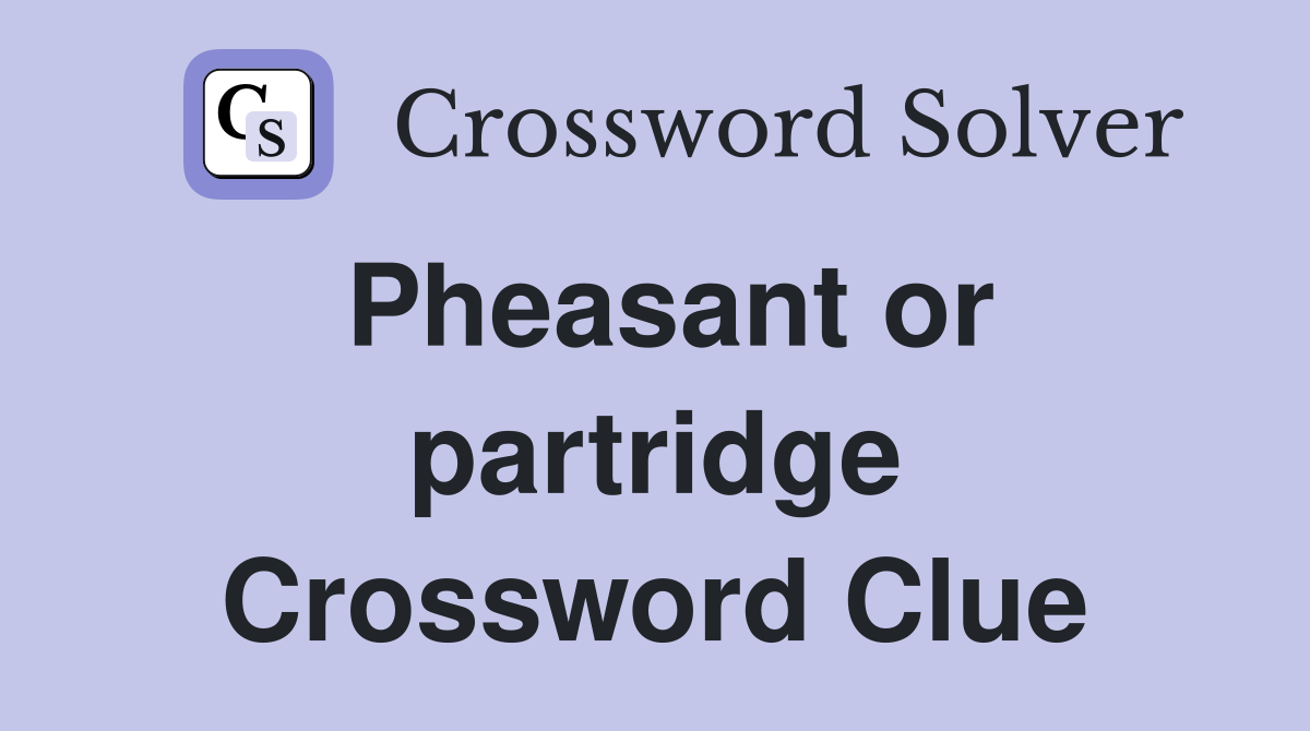 Pheasant or partridge Crossword Clue