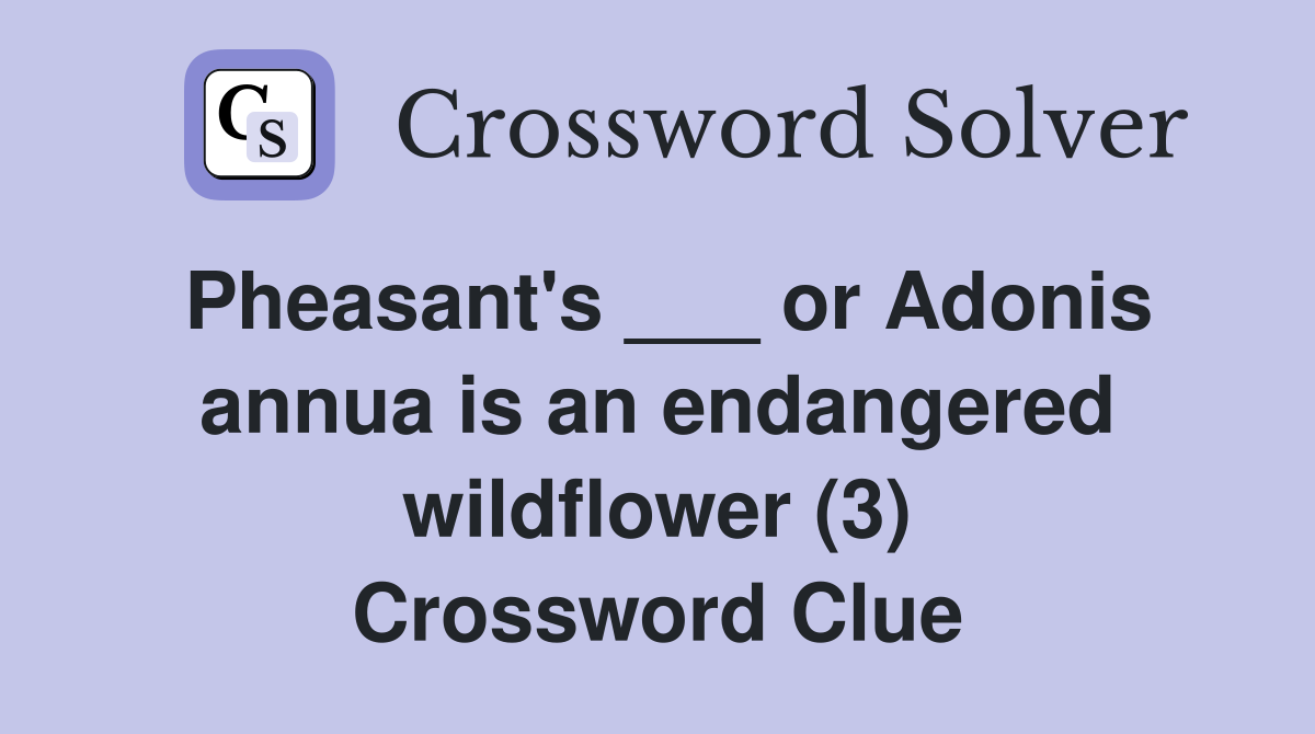 Pheasant's ___ or Adonis annua is an endangered wildflower (3) Crossword Clue