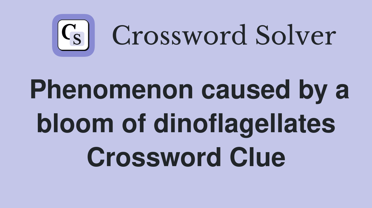 Phenomenon caused by a bloom of dinoflagellates Crossword Clue