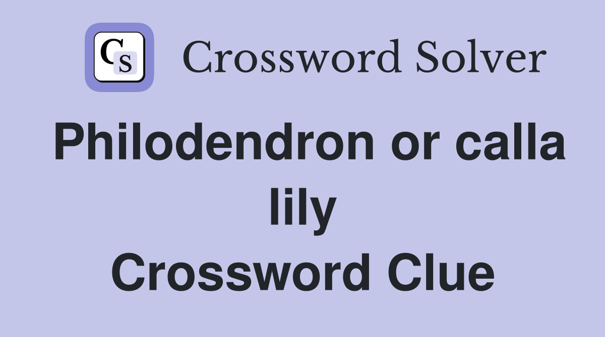 Philodendron or calla lily Crossword Clue