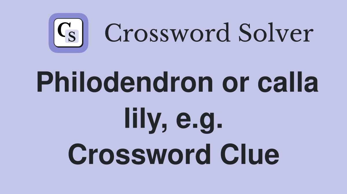 Philodendron or calla lily, e.g. Crossword Clue