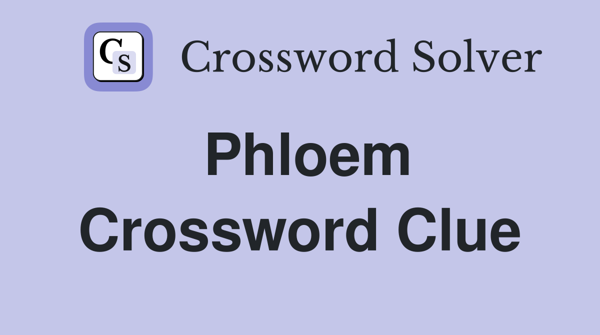 Phloem Crossword Clue
