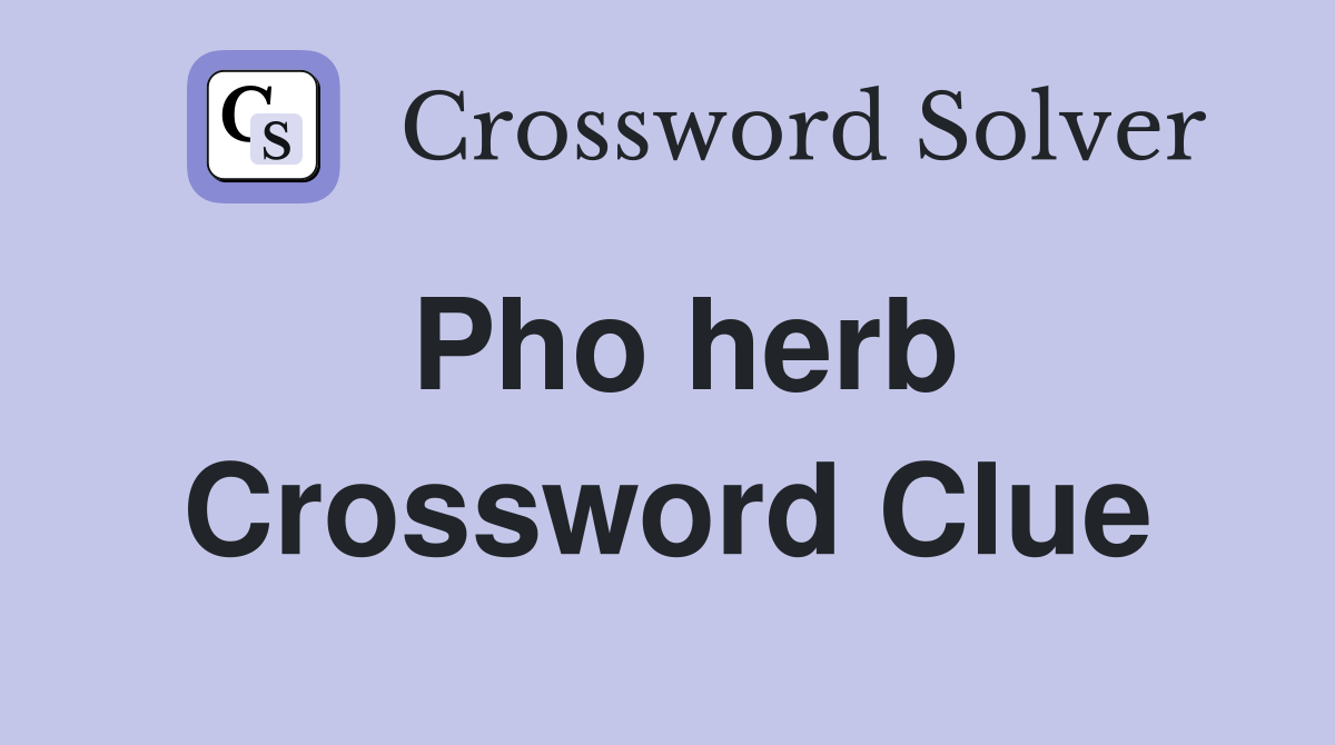 Pho herb Crossword Clue