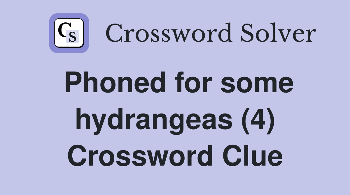 Phoned for some hydrangeas (4) Crossword Clue