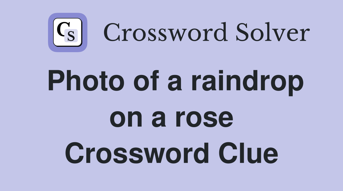 Photo of a raindrop on a rose Crossword Clue