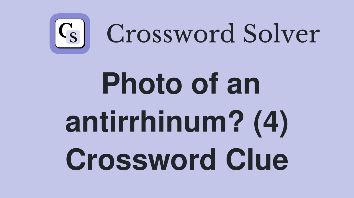 Photo of an antirrhinum? (4) Crossword Clue