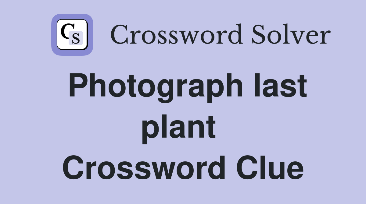 Photograph last plant  Crossword Clue