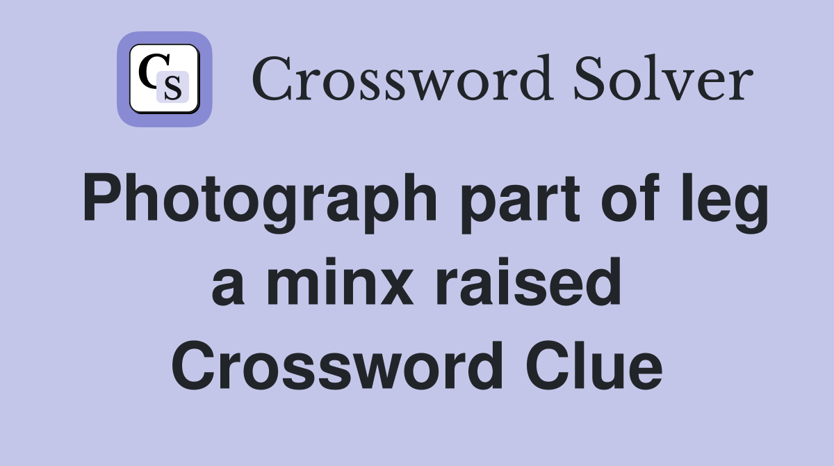 Photograph part of leg a minx raised Crossword Clue