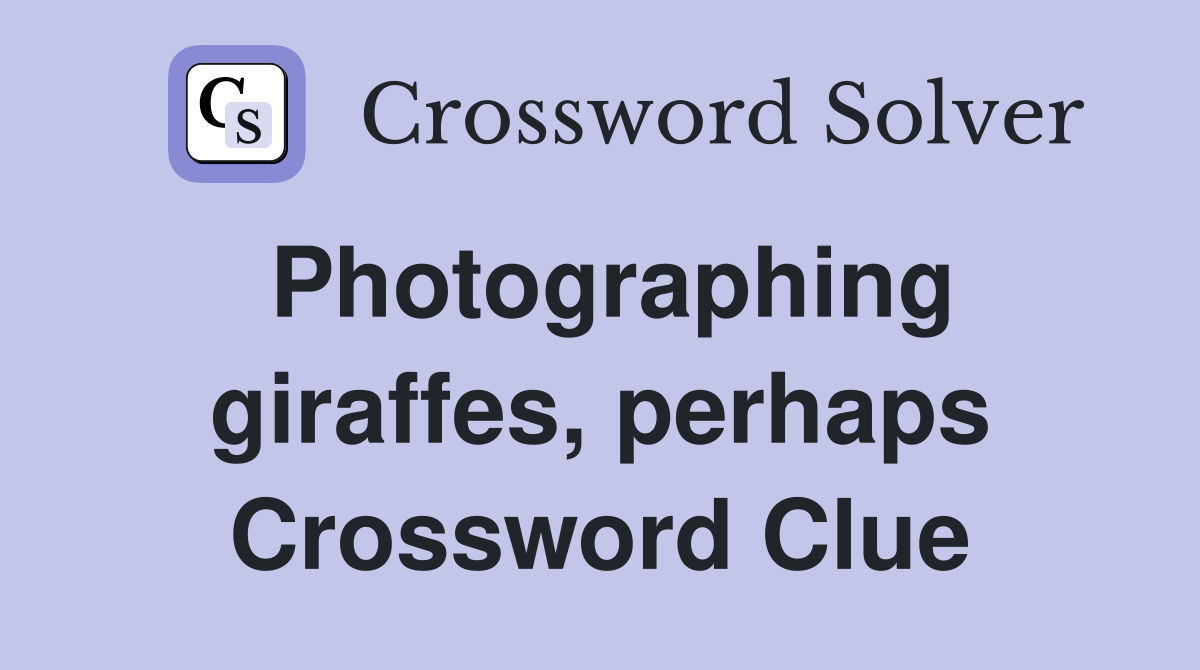 Photographing giraffes, perhaps Crossword Clue