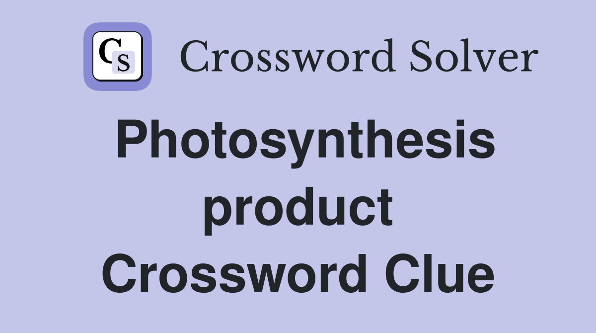 Photosynthesis product Crossword Clue