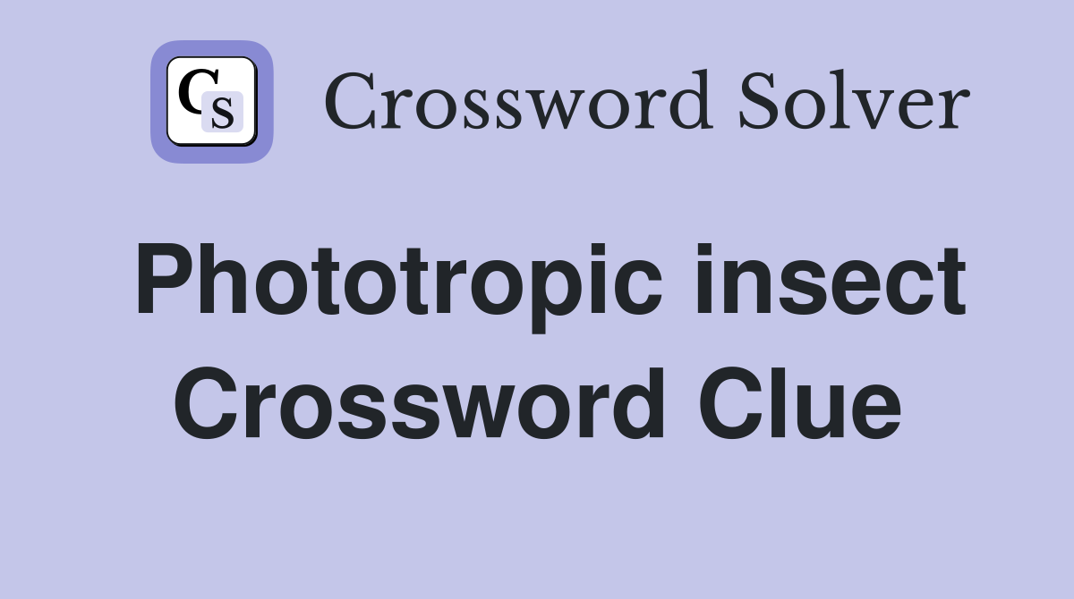 Phototropic insect Crossword Clue