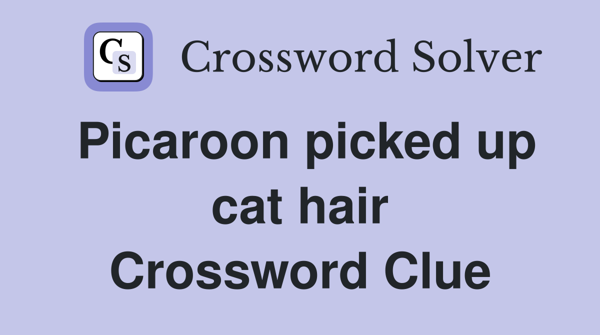 Picaroon picked up cat hair Crossword Clue