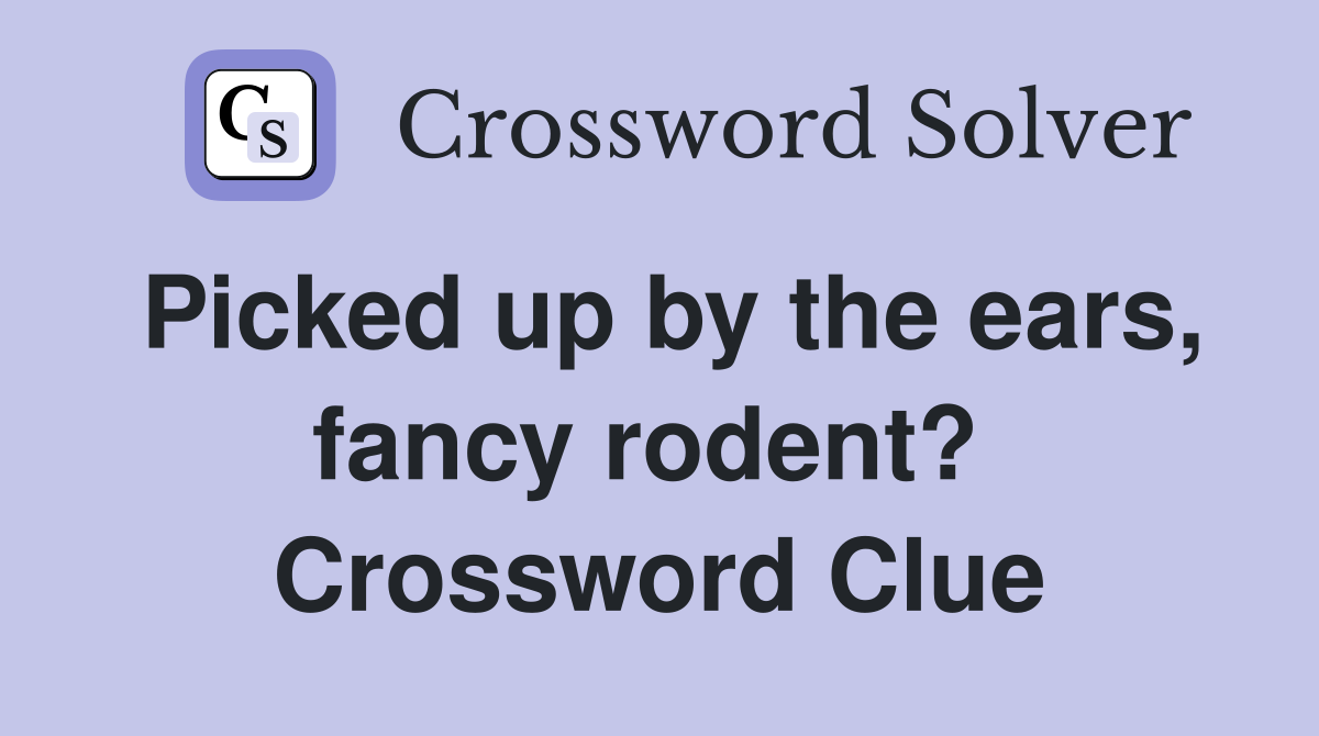 Picked up by the ears, fancy rodent?  Crossword Clue