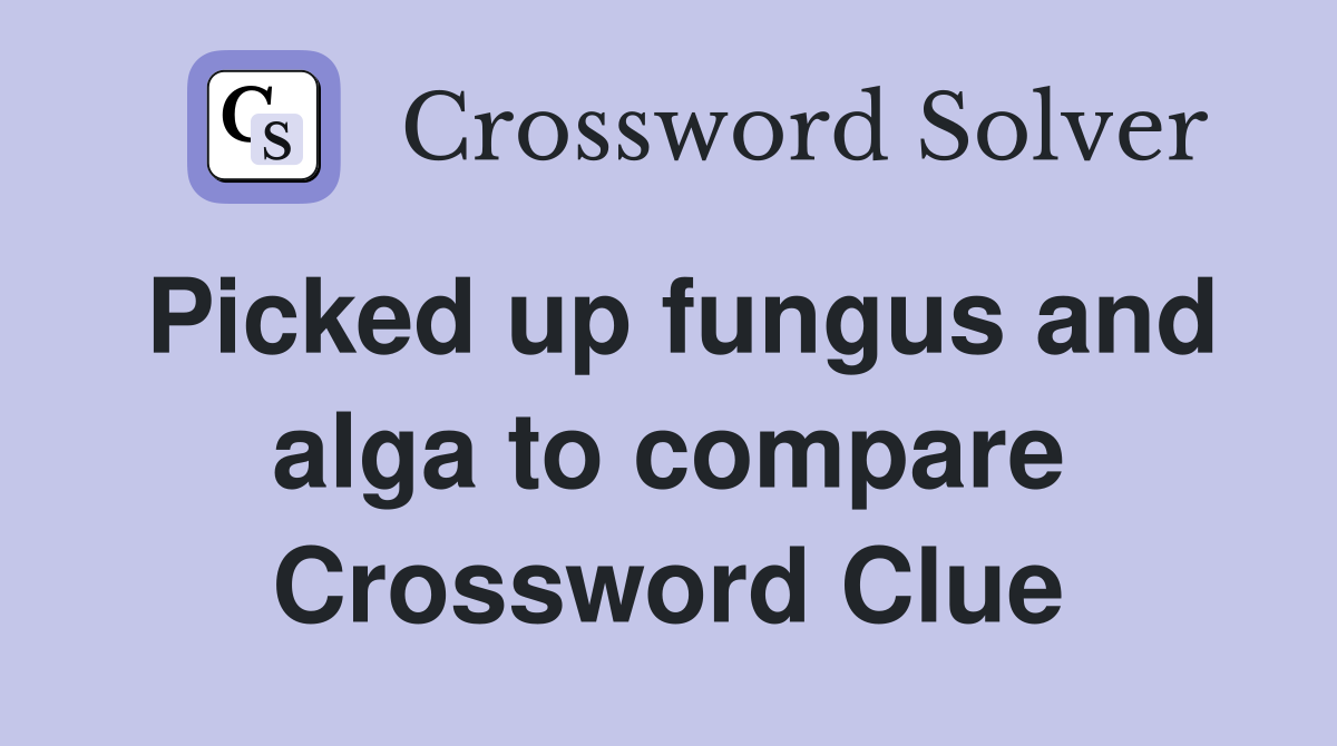 Picked up fungus and alga to compare Crossword Clue