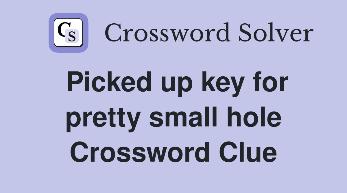 Picked up key for pretty small hole Crossword Clue