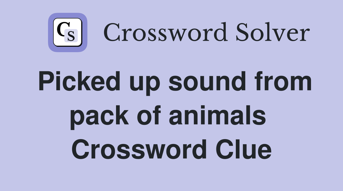Picked up sound from pack of animals  Crossword Clue