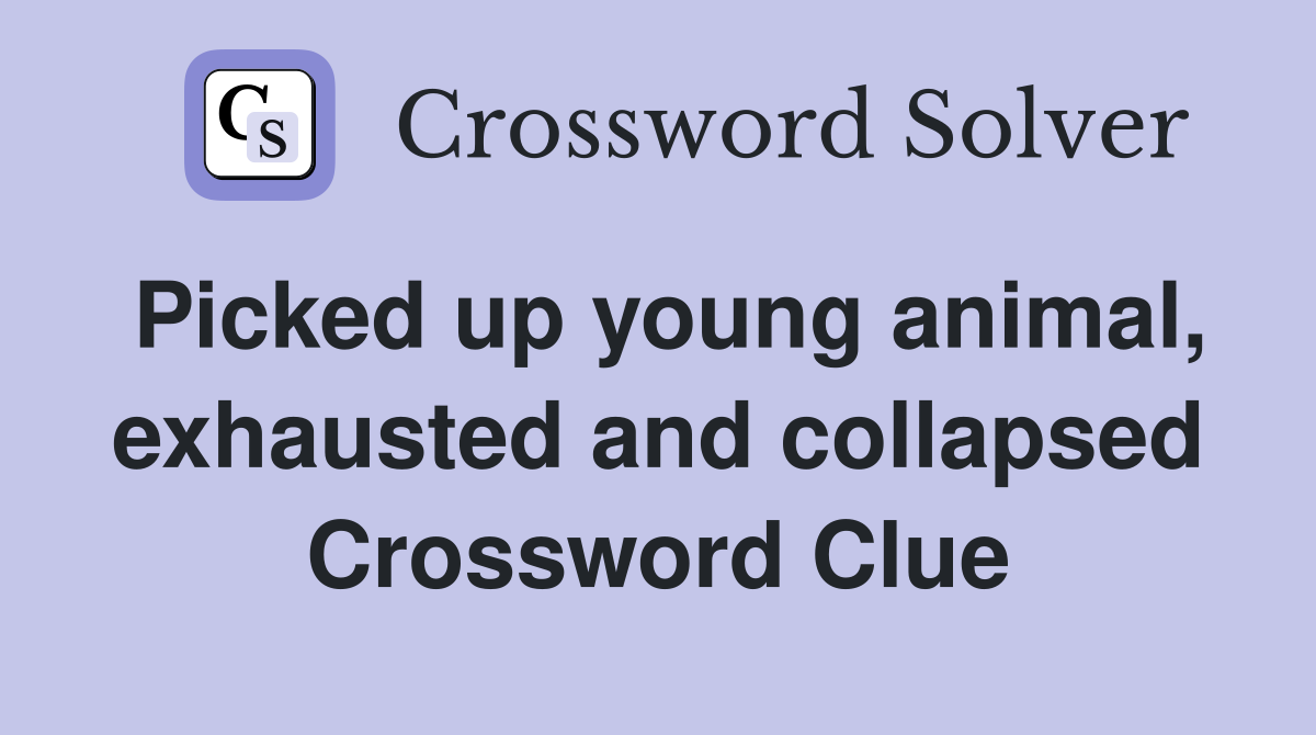 Picked up young animal, exhausted and collapsed Crossword Clue