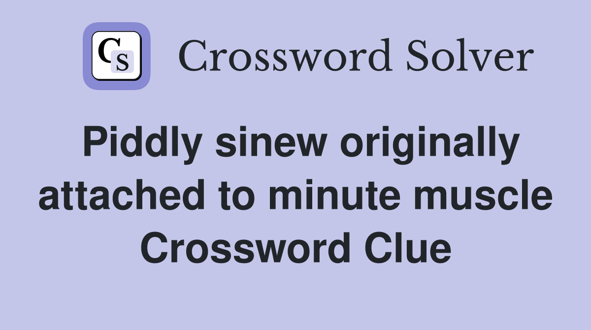 Piddly sinew originally attached to minute muscle Crossword Clue