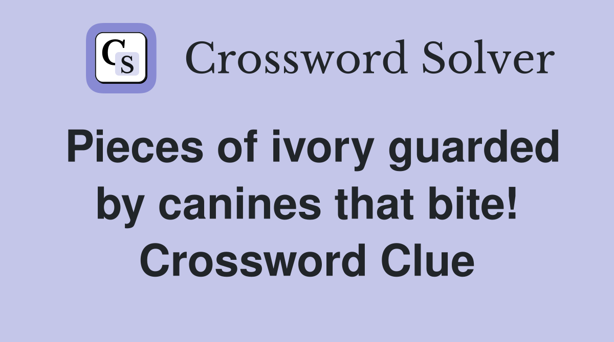 Pieces of ivory guarded by canines that bite! Crossword Clue
