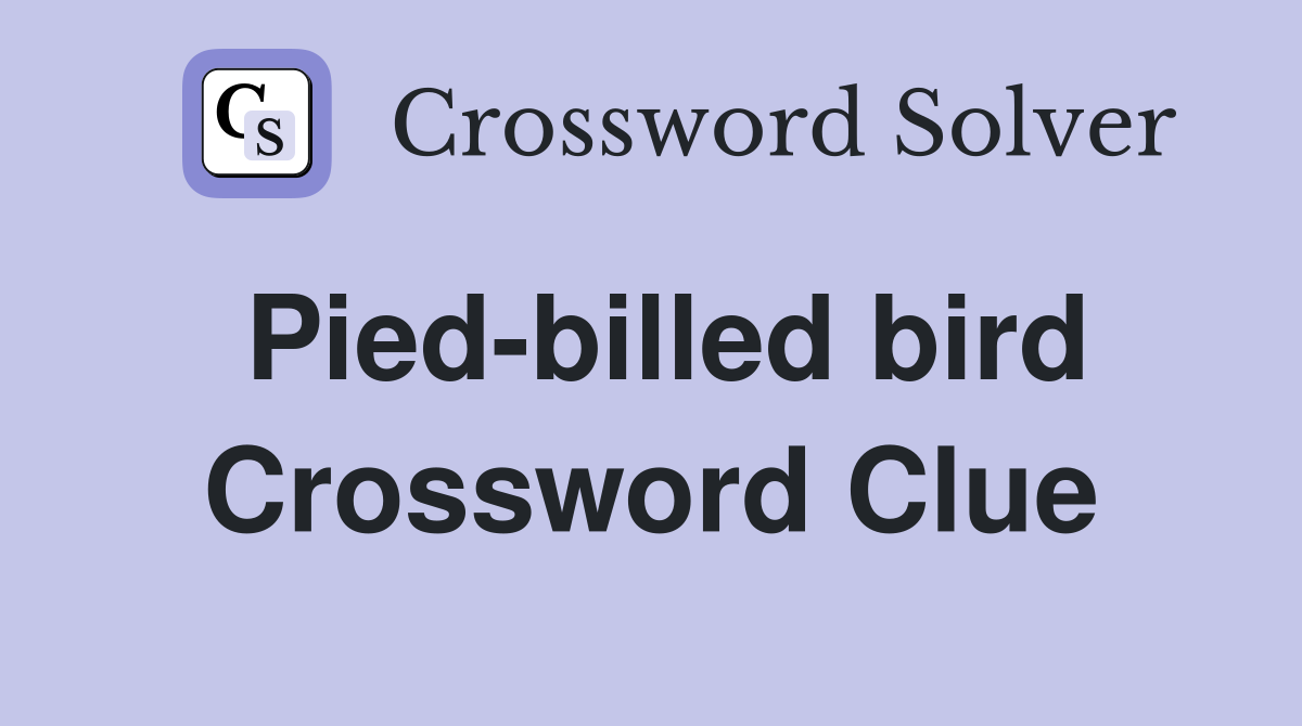 Pied-billed bird Crossword Clue
