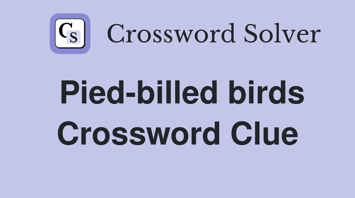Pied-billed birds Crossword Clue